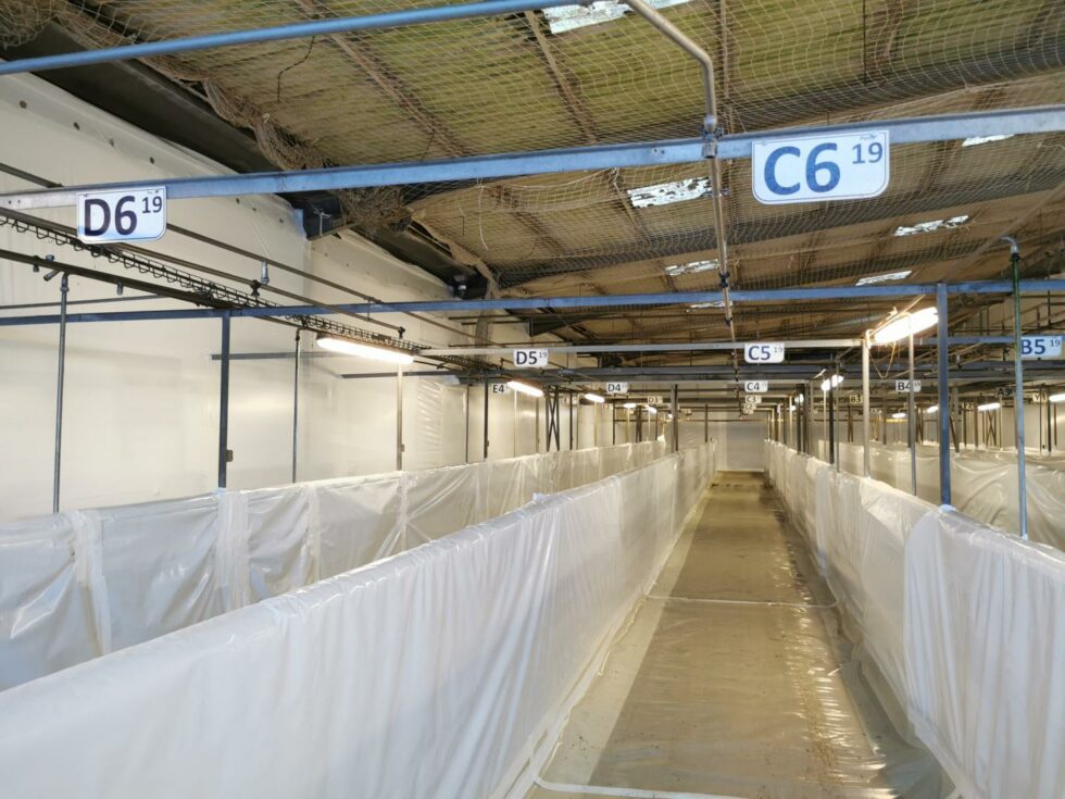 entreprise desamiantage bretagne eimh